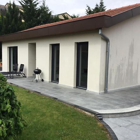 Au Pied Des Vignes Villa Гебвилер Екстериор снимка